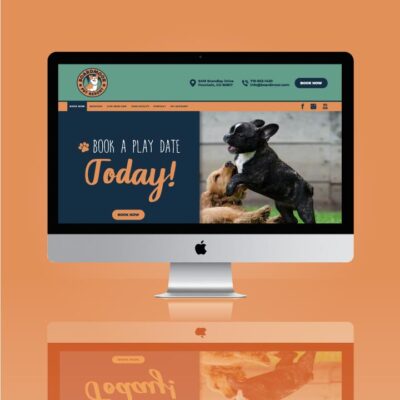 hi-five design, hi-five design colorado springs, website design colorado springs, website design denver, website designer colorado, dog website, dog training website design