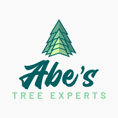 tree logo design, evergreen logo, spruce logo design, pine tree logo, hi-five design, graphic designer colorado springs, logo designer colorado springs