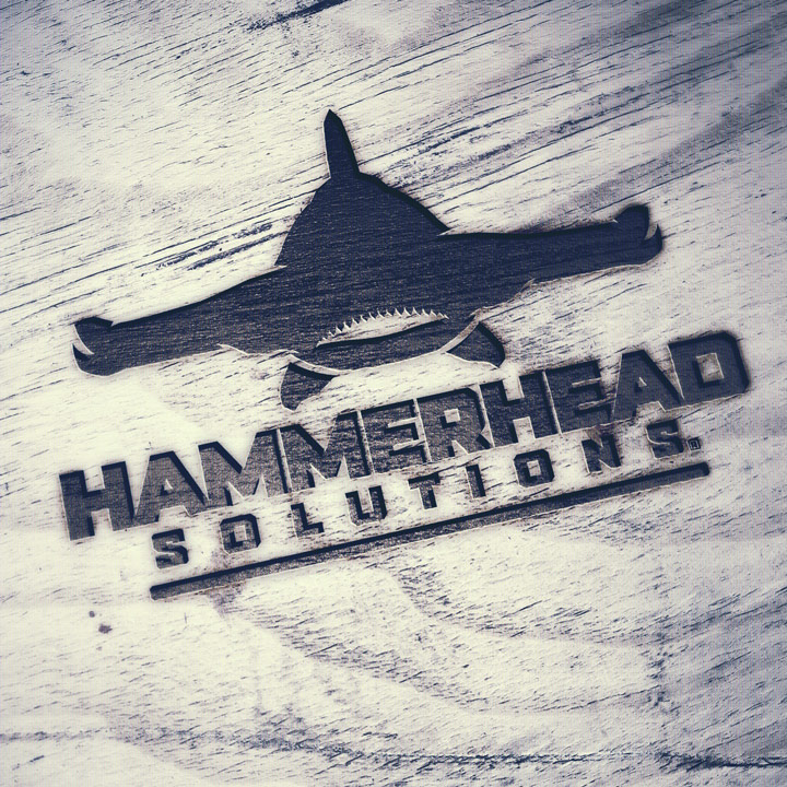 hammerhead logo, shark logo, fish logo, hi-five design, best logo designer colorado, top logo designer colorado, graphic designer colorado springs