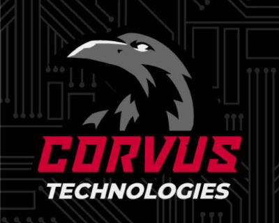 cybersecurity logo, cyber security logo design, computer logo, raven logo, tech logo, technology logo, hi-five design