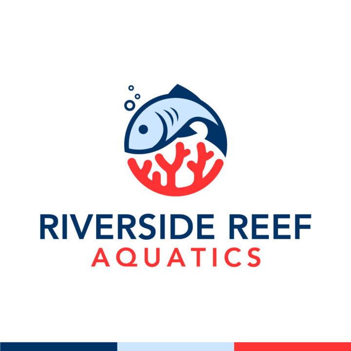 aquarium logo design, aquatic logo design, fish logo design, coral logo design, reef logo design, hi-five design, graphic designer pennsylvania, logo designer pennsylvania