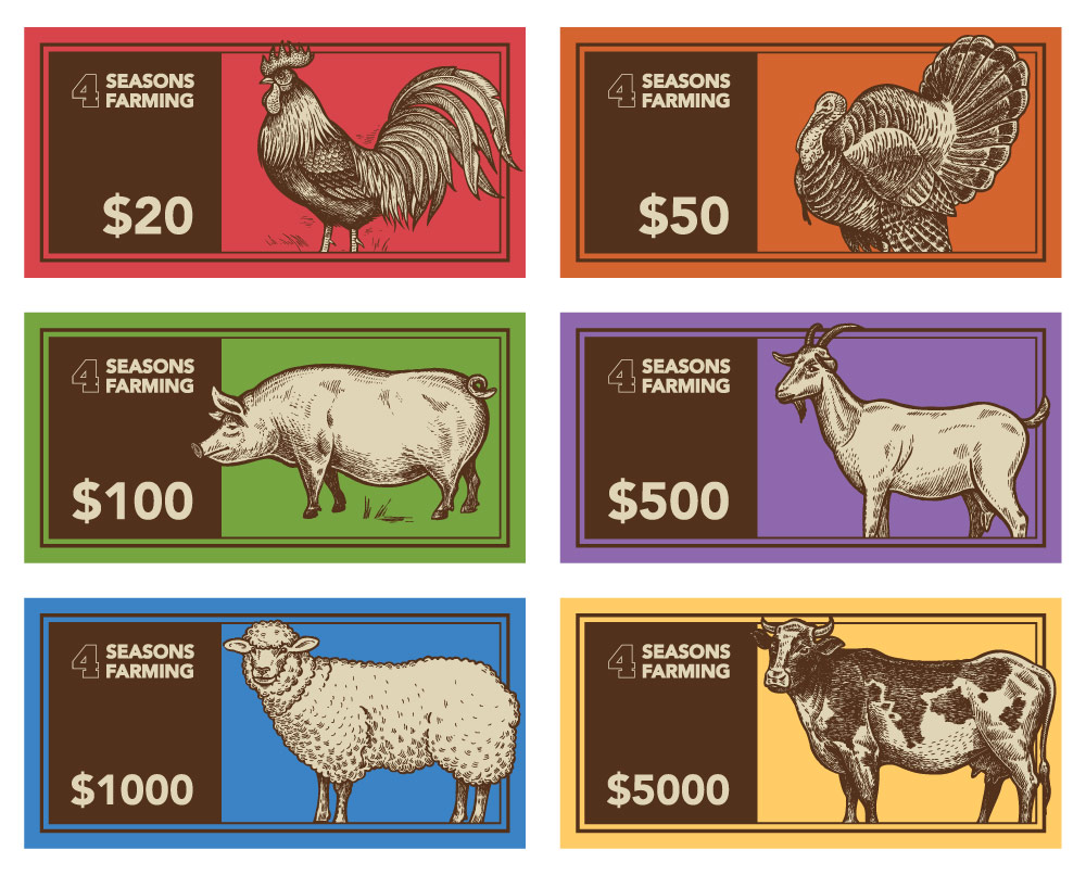 board game design, board game designer colorado springs, board game designer denver, 4 Seasons Farming board game, hi-five design, graphic designer colorado springs
